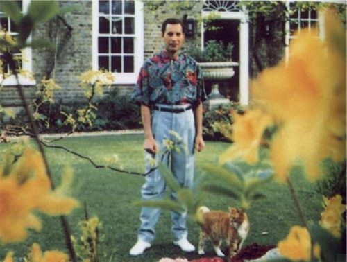 freddy mercury prima di morire