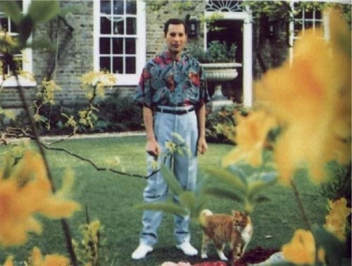 freddy mercury prima di morire