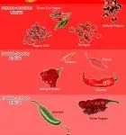 Infografica peperoncini più piccanti