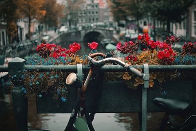 amsterdam le migliori mete per San Valentino 2018