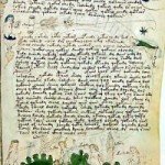 Il Manoscritto di Voynich