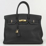 hermes birkin borsa piu costosa
