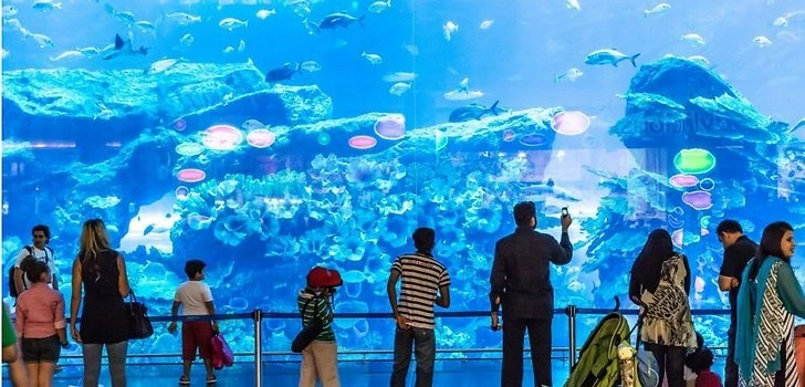 gli acquari più belli del mondo